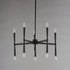 Maxim Rome Chandelier Model: 24625BK