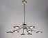 Maxim Scan Chandelier Model: 21699BKSBR