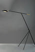 Maxim Scan Floor Lamp Model: 21694BKSBR