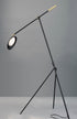 Maxim Scan Floor Lamp Model: 21694BKSBR