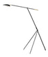 Maxim Scan Floor Lamp Model: 21694BKSBR