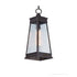 Maxim Schooner Outdoor Pendant Model: 3049RPOLB