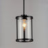Maxim Sentinel Single Pendant Model: 25252CLBK