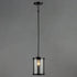 Maxim Sentinel Single Pendant Model: 25252CLBK