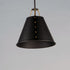 Maxim Trestle 1 Light Pendant Model: 25162OIAB