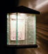 Maxim Triumph Vx LED Outdoor Wall Sconce Model: 55733CLET