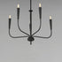 Maxim Vela Single Tier Chandelier Model: 24815BK