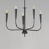 Maxim Vela Single Tier Chandelier Model: 24815BK