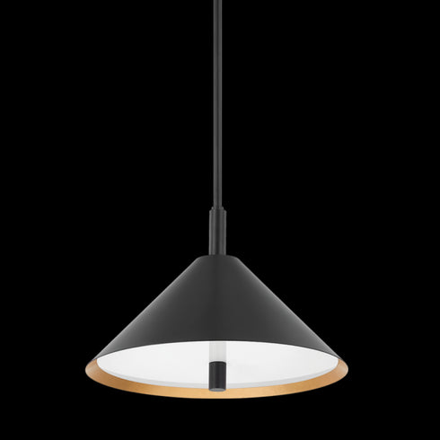 Mitzi 2 Light Pendant Model: H629702-GL/SBK