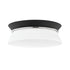 Mitzi Cath 1 Light Flush Mount Model: H425502-AGB/BK