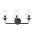Mitzi Kayla 3 Light Bath Bracket Model: H420303-AGB