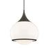 Mitzi Reese 1 Light Large Pendant Model: H281701L-AGB