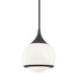 Mitzi Reese 1 Light Small Pendant Model: H281701S-AGB