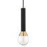 Mitzi Via 1 Light Pendant Model: H169701-POC/BK