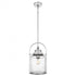 Quoizel 1 Light Payson Mini Pendant Model: QPP2782BN