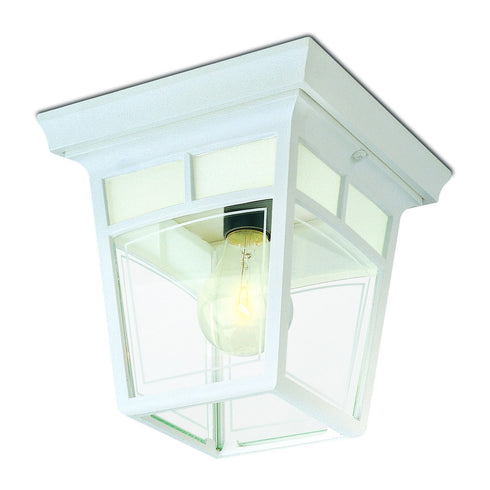Snoc Imagine Ceiling Mount Model:81443