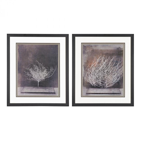 Sterling 151-003/S2 Desert Form - Prints Under Glass