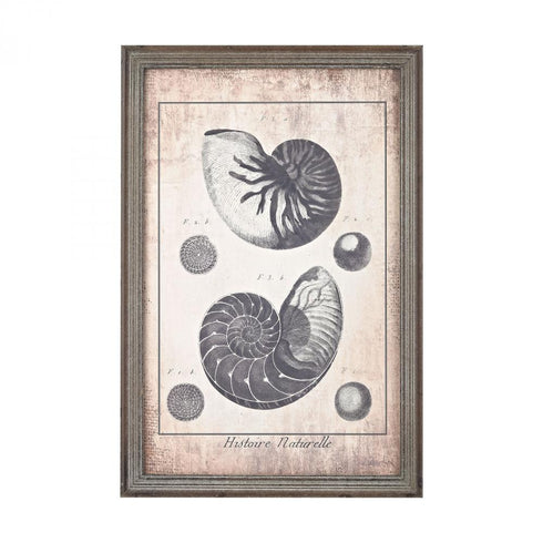 Sterling 3138-245 Shell Print In Blue