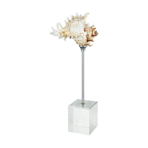 Sterling 4209-027 Spider Conch Decorative Accessory