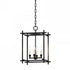 Troy 4 Light Medium Lantern Model: F1095-BI