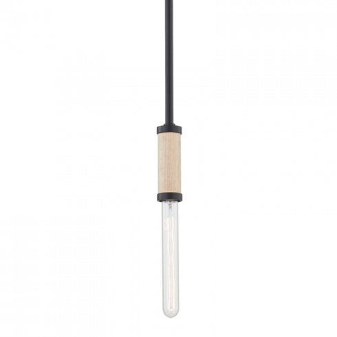 Troy Cruiz 1 Light Pendant Model: F6701-SBK
