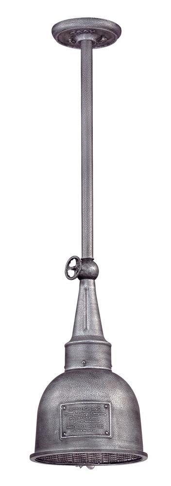 Troy Raleigh 1 Light Hanging Medium Model: F2947