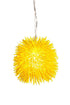 Varaluz Urchin 1 Light Mini Pendant Painted Chrome Model: 169M01CH