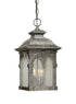 Vaxcel Essex 9 Inch Outdoor Pendant Model: OD38796RBZ