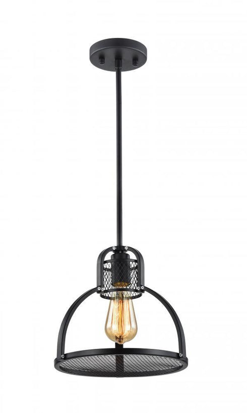 Zeev Lighting Canton 1 Light Down Pendant Model: P30042-1-DBZ